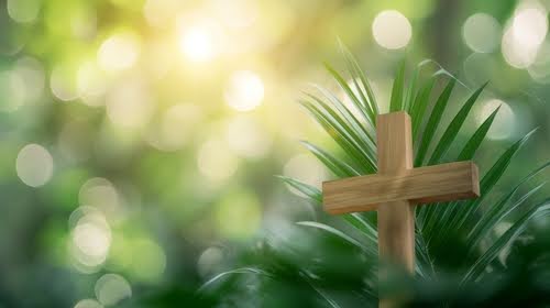 A wooden cross stands in front of a palm leaf and a blurry green background with light shining through.